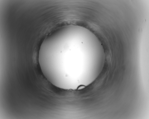 X0000088711060200706211958