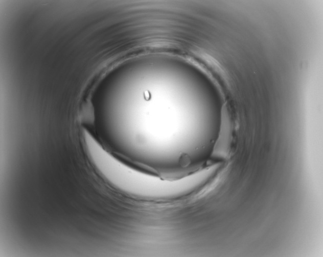 X0000088711065200706211958