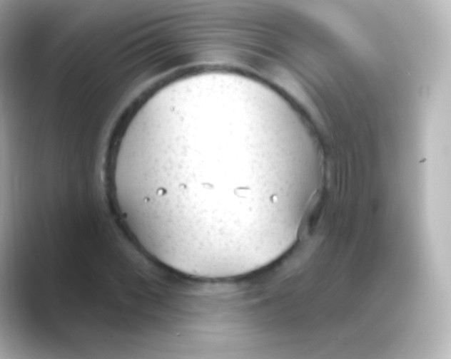 X0000088711068200706211958