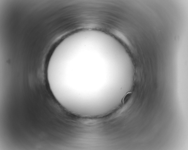 X0000088711071200706211958