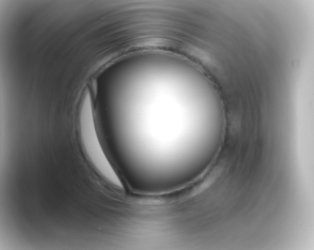 X0000088711073200706211958