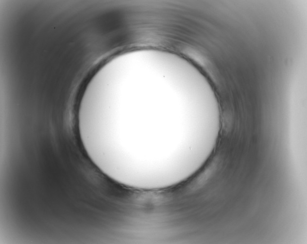 X0000088711074200706211958