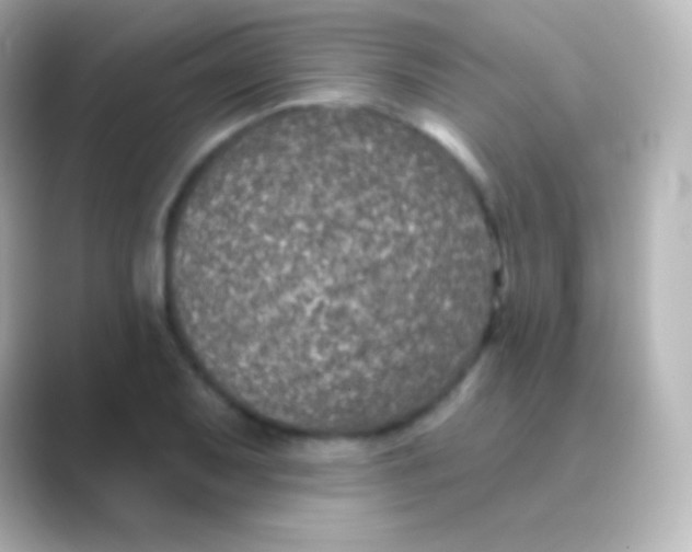 X0000088711079200706211958