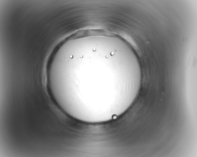 X0000088711080200706211958