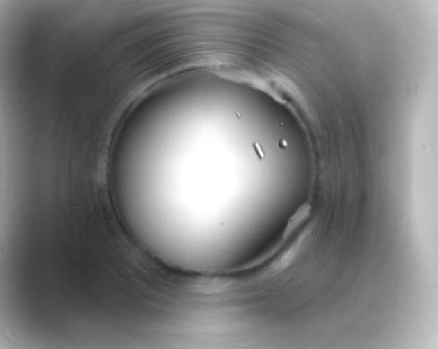 X0000088711081200706211958