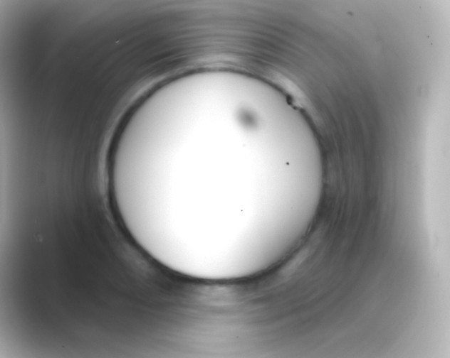 X0000088711082200706211958