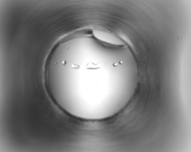 X0000088711087200706211958