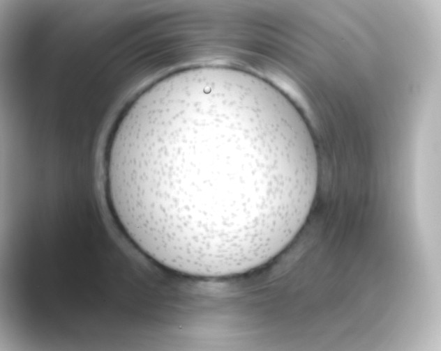 X0000088711088200706211958