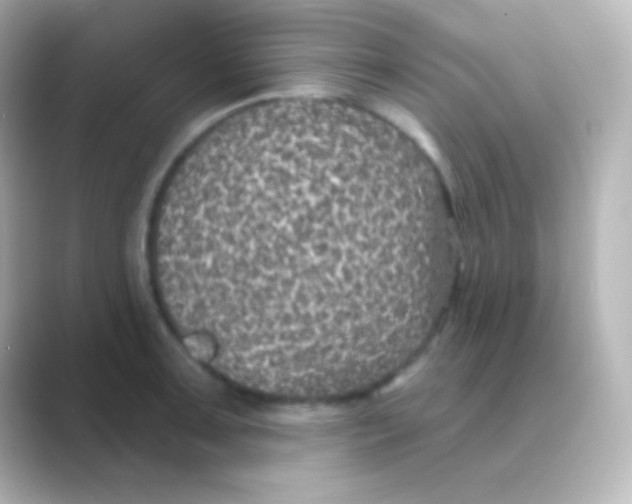 X0000088711091200706211958