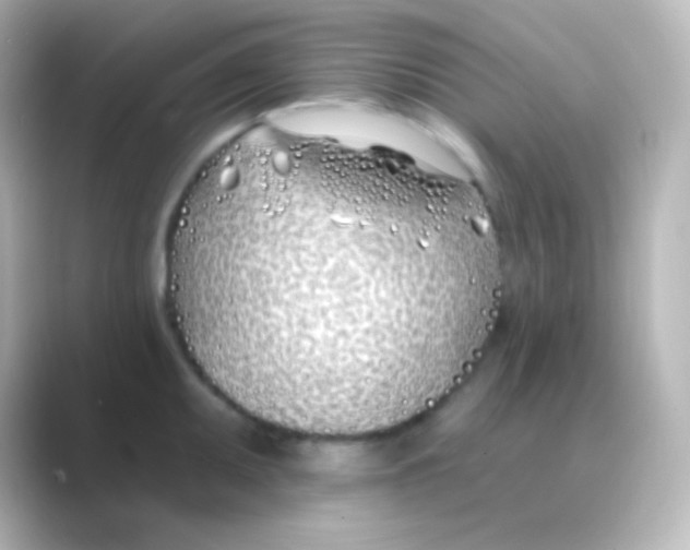 X0000088711095200706211958