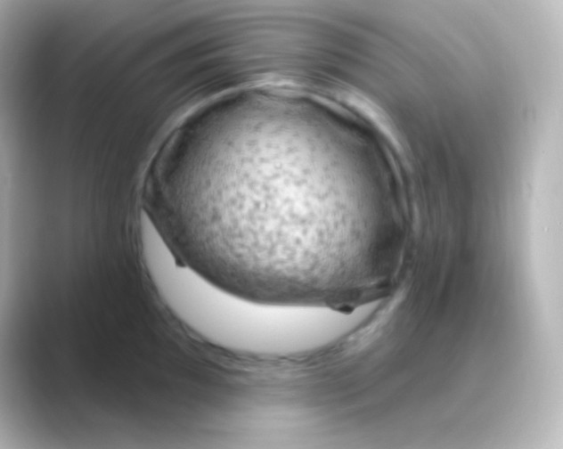 X0000088711097200706211958