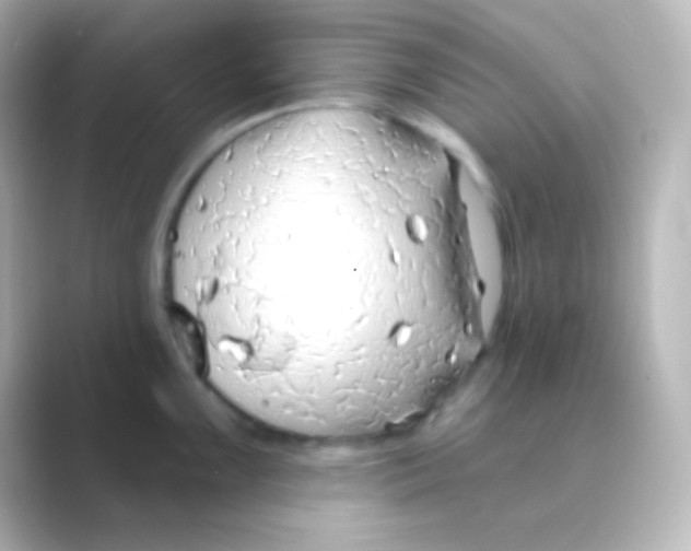 X0000088711099200706211958