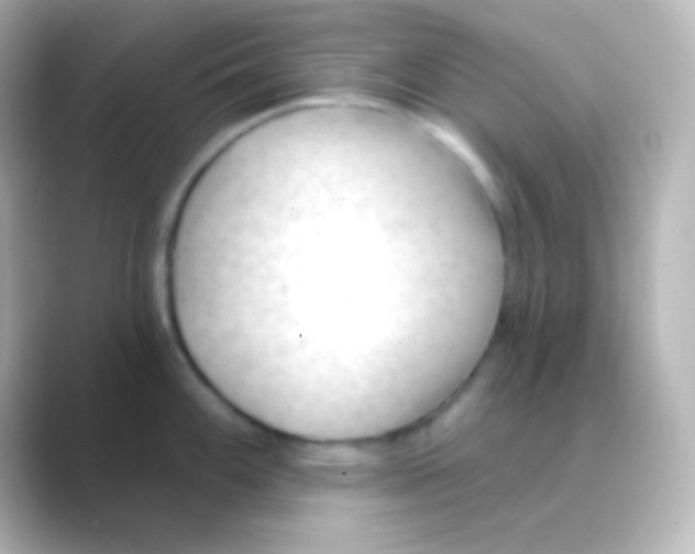 X0000088711100200706211958