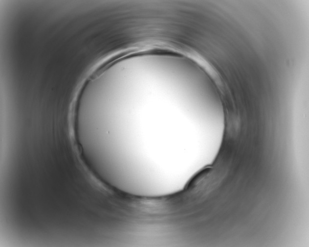 X0000088711102200706211958