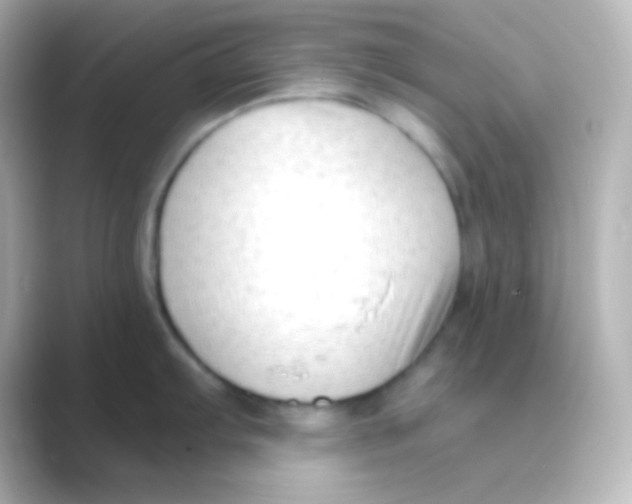 X0000088711103200706211958