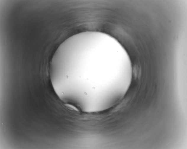 X0000088711107200706211957