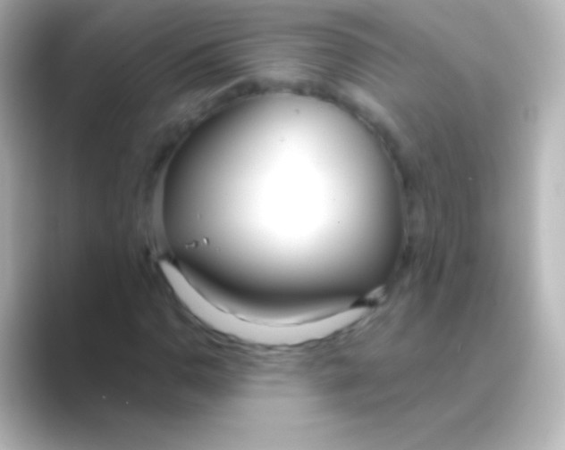 X0000088711110200706211957