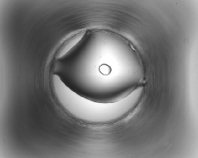 X0000088711118200706211958