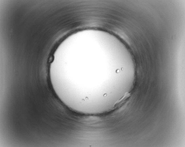 X0000088711119200706211958