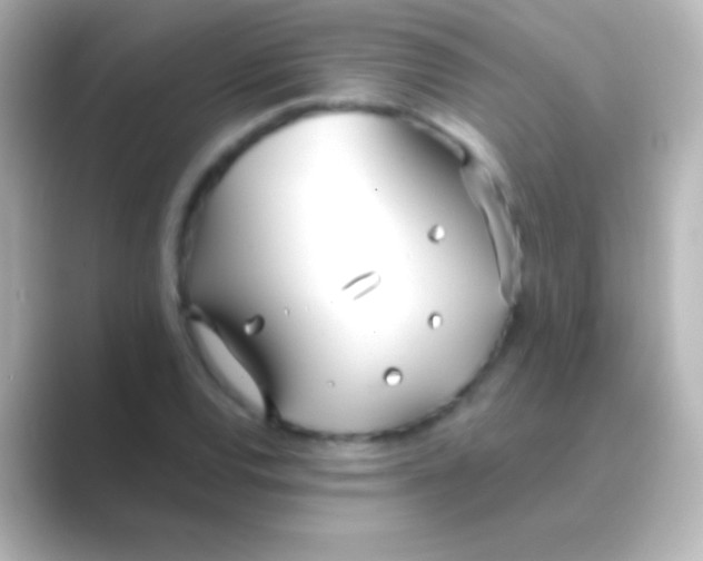 X0000088711120200706211958