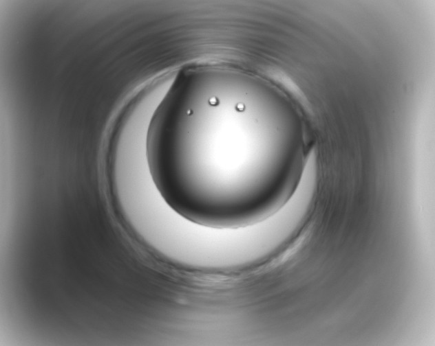 X0000088711122200706211958