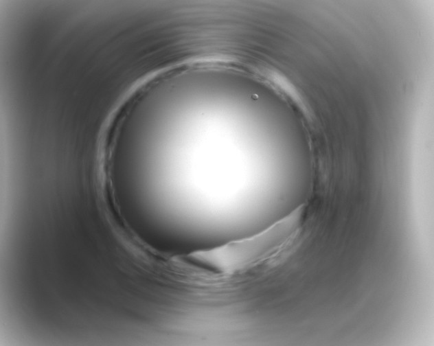 X0000088711124200706211958