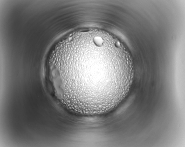 X0000088711125200706211958