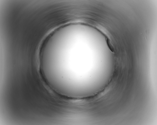 X0000088711127200706211958