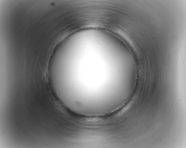 X0000088711129200706211958