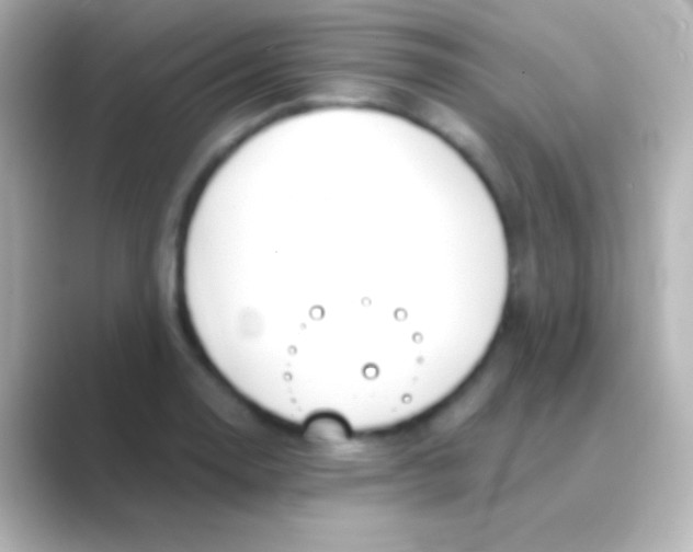 X0000088711130200706211958