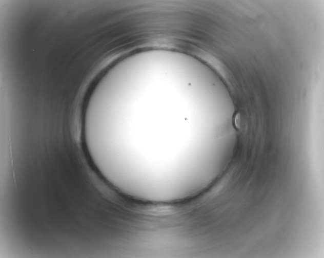 X0000088711131200706211958