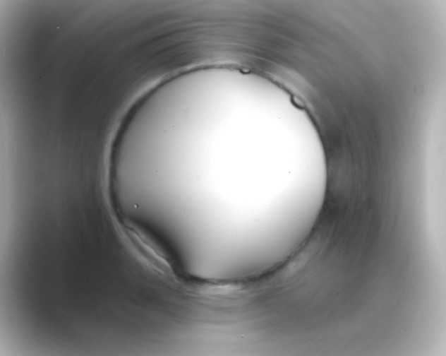 X0000088711135200706211958