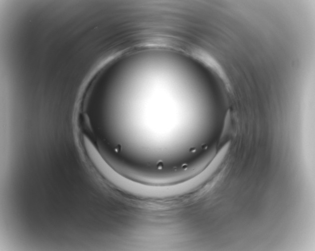 X0000088711138200706211958