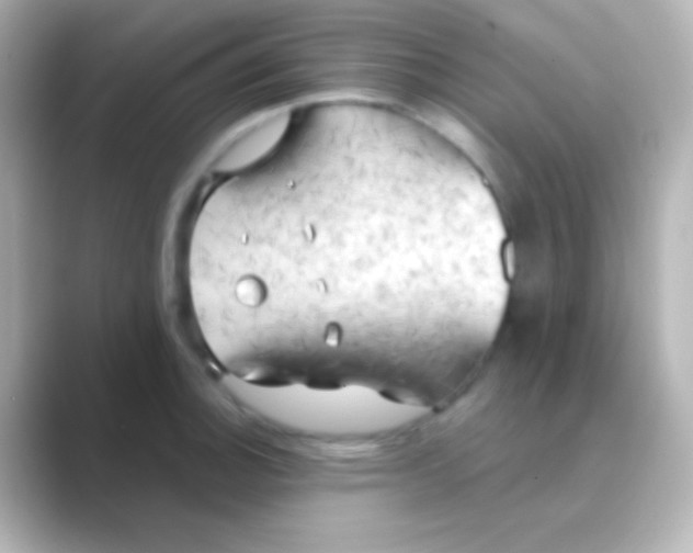 X0000088711140200706211958