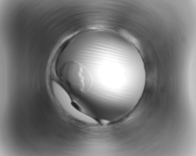 X0000088711146200706211958