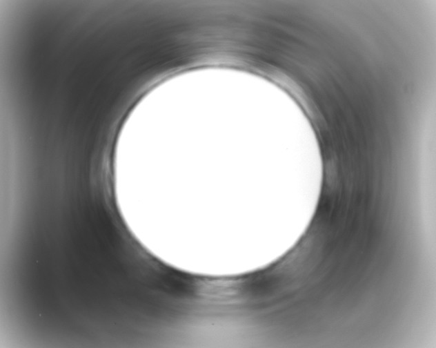 X0000088711150200706211958