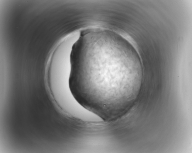 X0000088711152200706211958