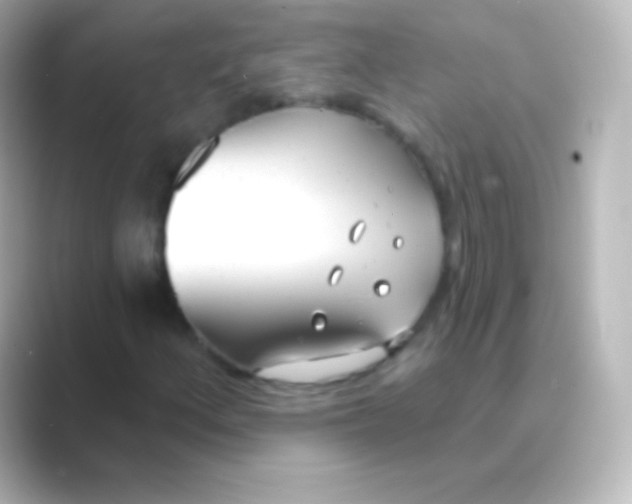 X0000088711156200706211957