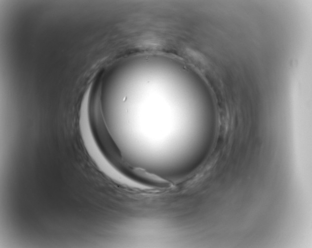 X0000088711157200706211957