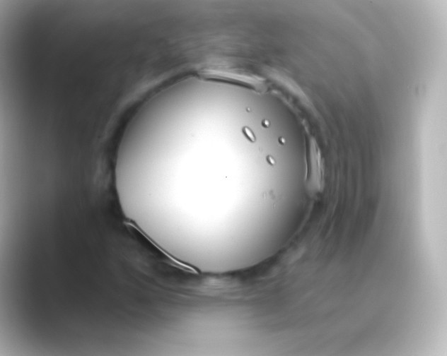 X0000088711160200706211957