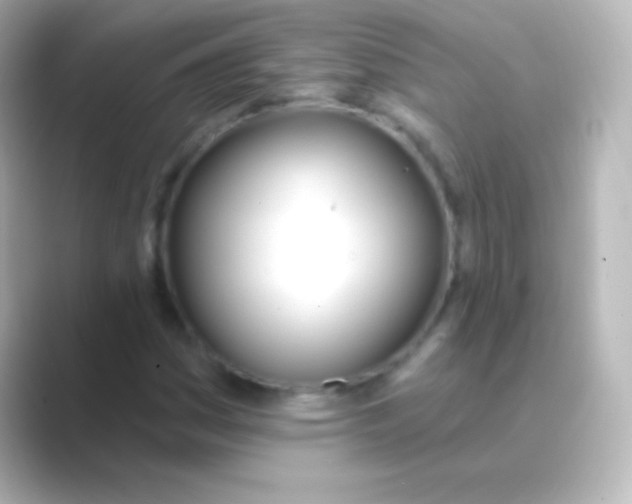 X0000088711161200706211957