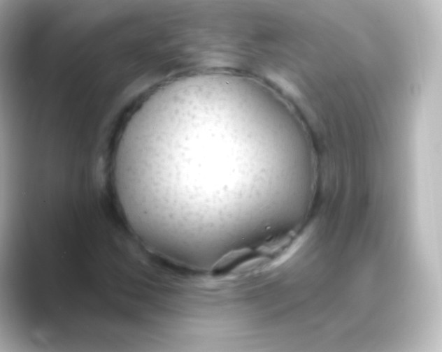 X0000088711163200706211957