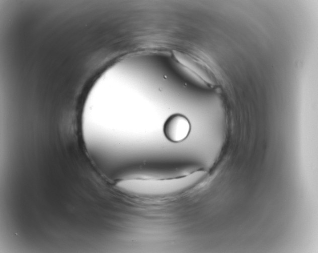 X0000088711164200706211957