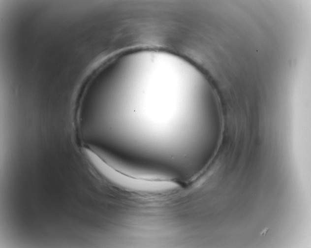 X0000088711168200706211957