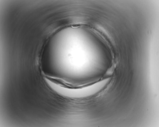 X0000088711169200706211957