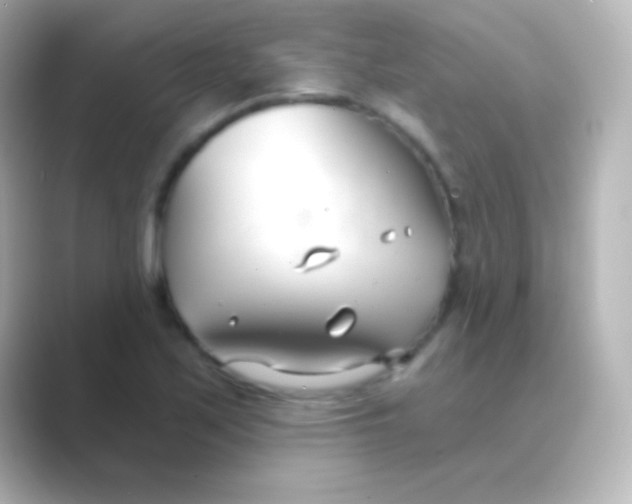 X0000088711171200706211957