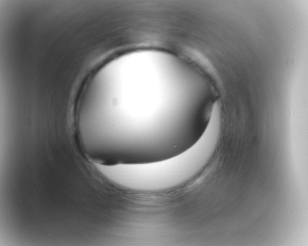 X0000088711172200706211957