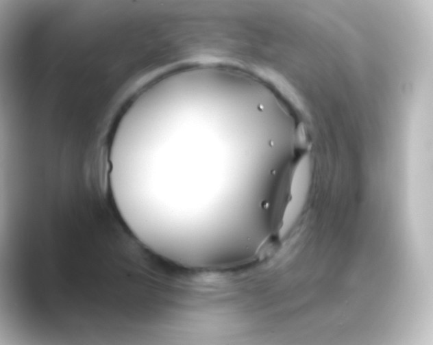 X0000088711175200706211957