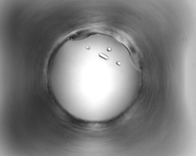 X0000088711176200706211957