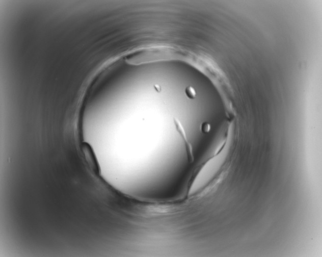 X0000088711181200706211957